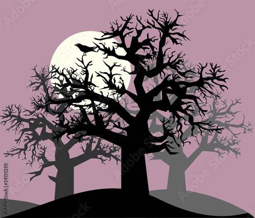 Night landscape