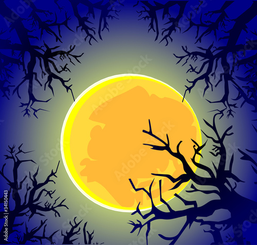 Moon night in the forest