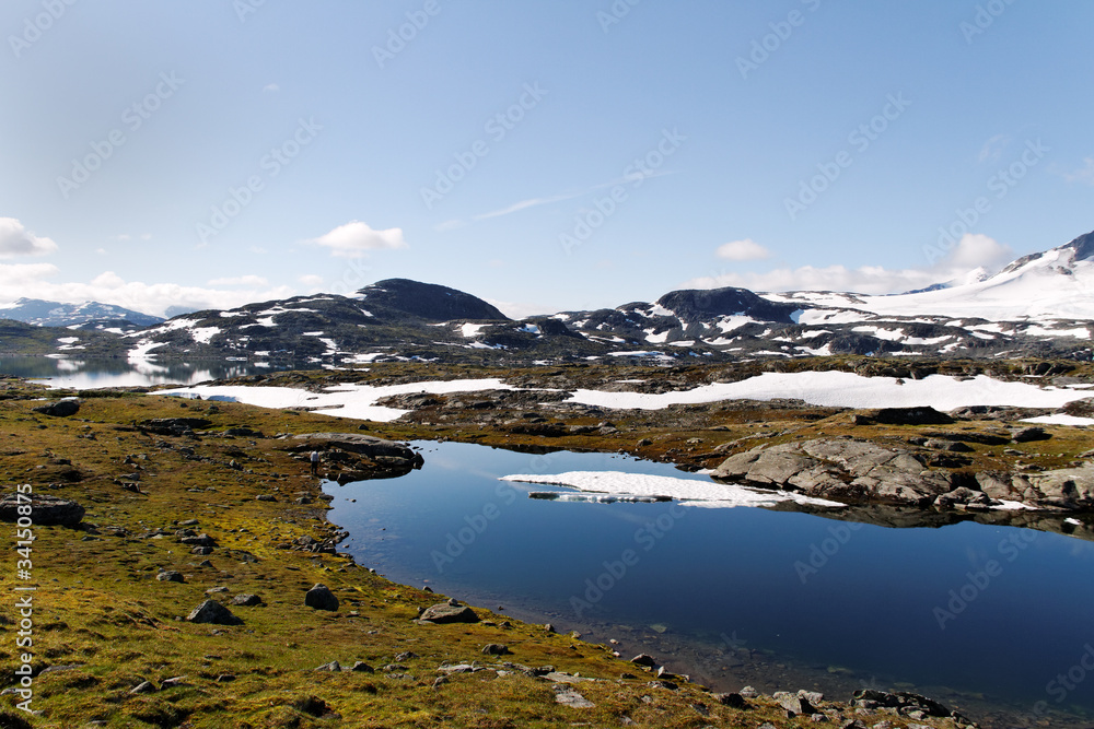 Meltwater in norvegian mountain.