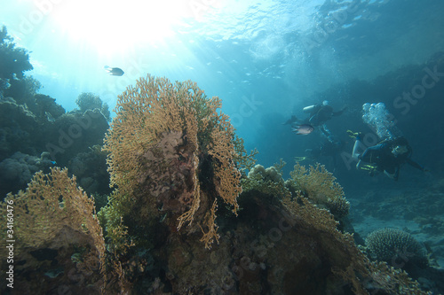 Underwater coral reef scene with divers