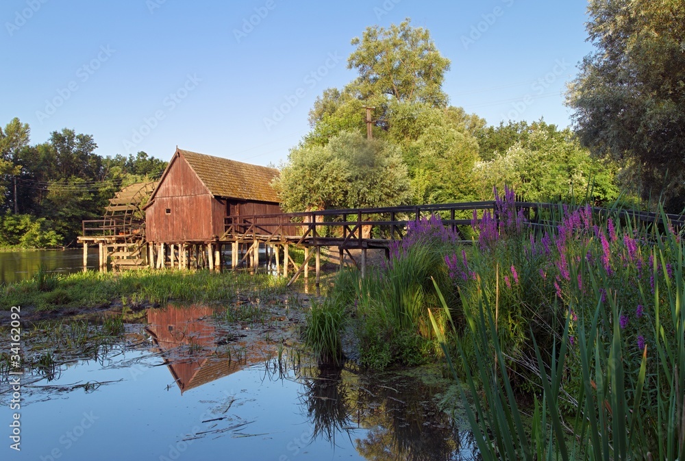 Fototapeta premium Small Danube in Slovakia with watermill.