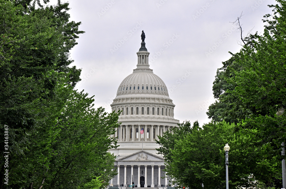 Naklejka premium Capitol of Washington DC