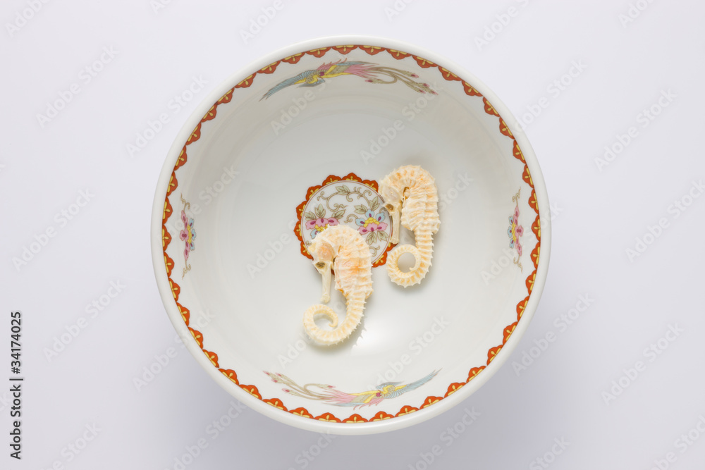 タツノオトシゴ タツノオトシゴ