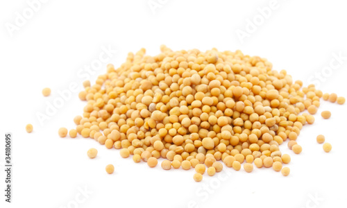 Yellow mustard seeds isolated
