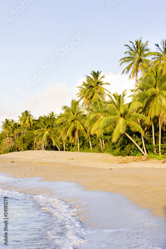 Turtle Beach, Tobago © Richard Semik