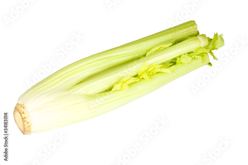 Fresh green celery vegetable