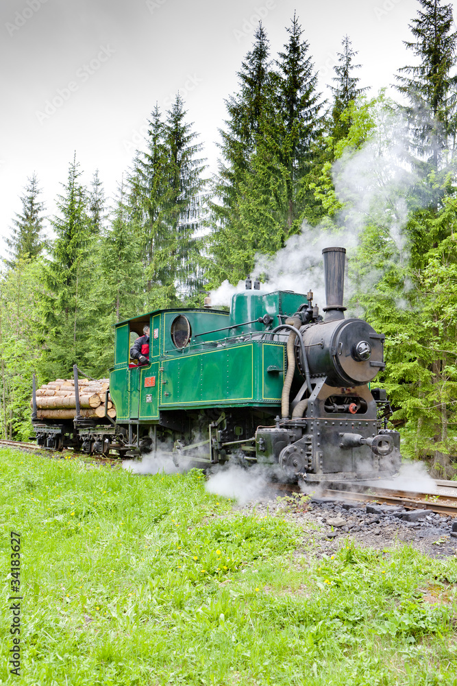 Fototapeta premium steam train, Museum of Kysuce village, Vychylovka, Slovakia