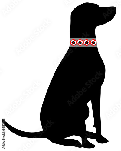Hund Zeckenhalsband