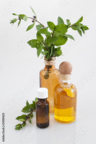 Bottles of Flower Oil and peppermint leaves