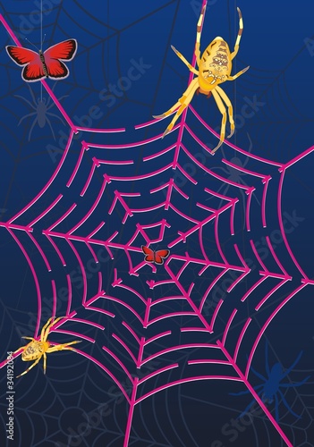 spider web labyrinth