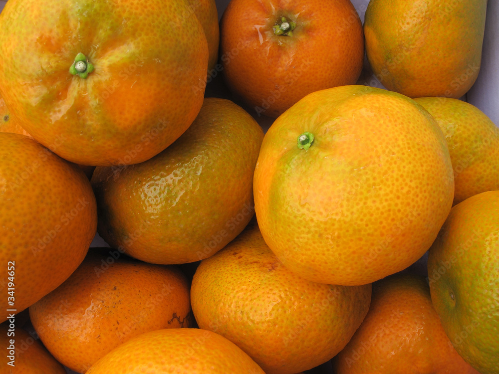 Fresh tangerine Fresh tangerine