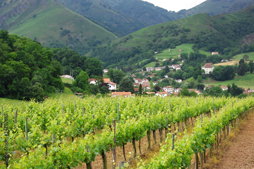 Vignoble d'Irouléguy, Pays Basque