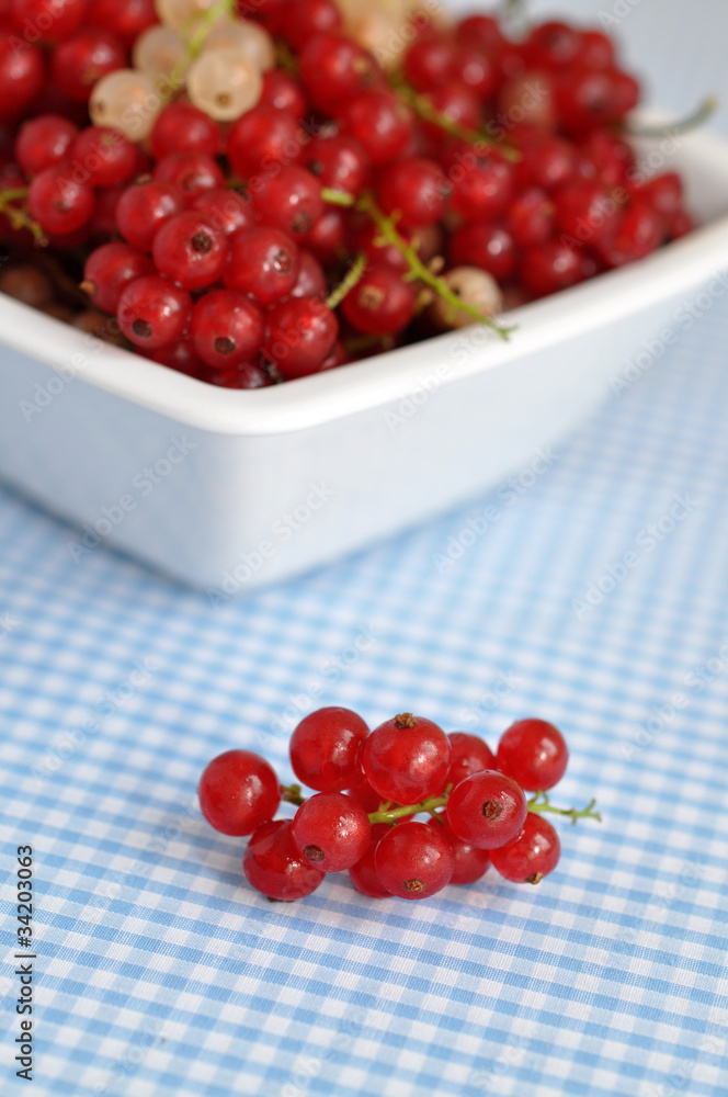 Redcurrant Redcurrant