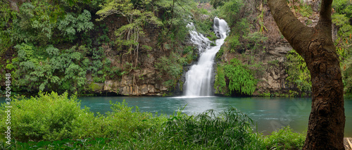 Bilde på lerret Bassin Cormoran île de la Réunion