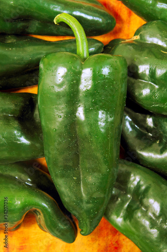 Poblano chili peppers chile Capsicum annuum photo