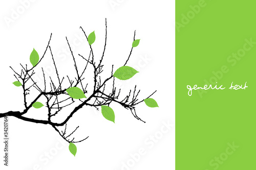 Vector Tree Design