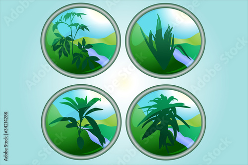 Green plant buttons