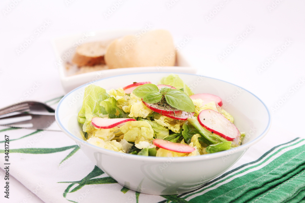 Frischer Salat Frischer Salat
