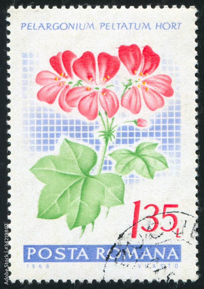 poststamp Geranium poststamp Geranium
