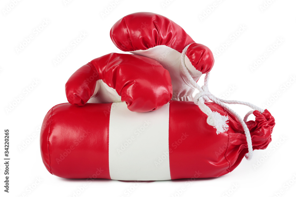 a childrens boxing kit - gloves and a punching bag