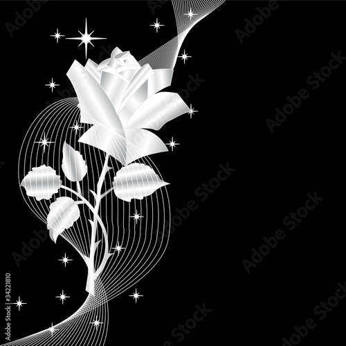 silver  rose 2