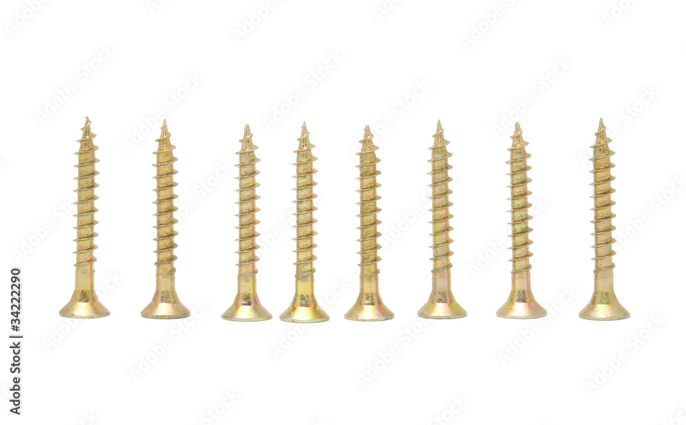 Wood Screws in Row Isolated on White Background Wood Screws in Row Isolated on White Background
