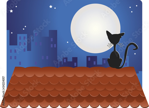 Gato preto no telhado