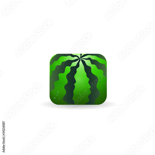 watermelon vector icon
