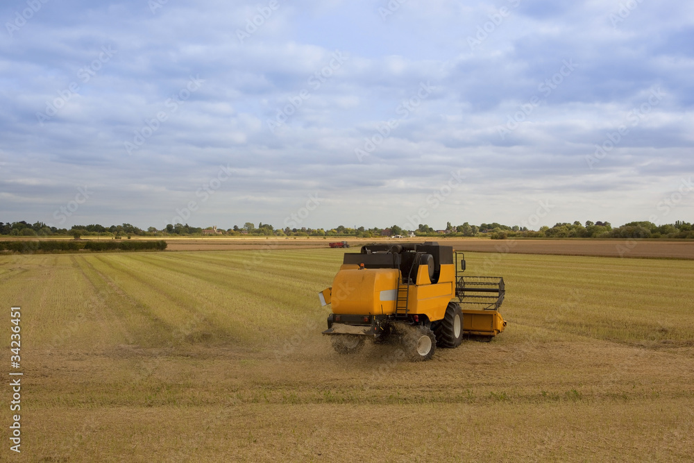 Obraz premium yellow harvester