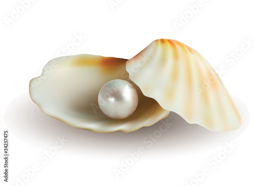 pearl in shell