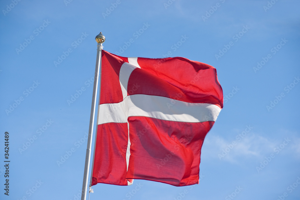 Naklejka premium Danish flag