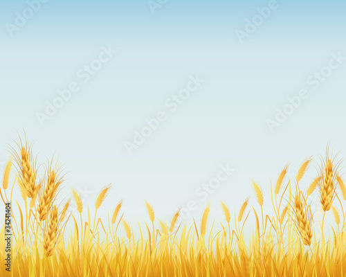 crop background