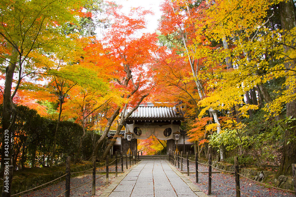 Fototapeta premium Komyoji, Nagaokakyo, Kansai, Japan