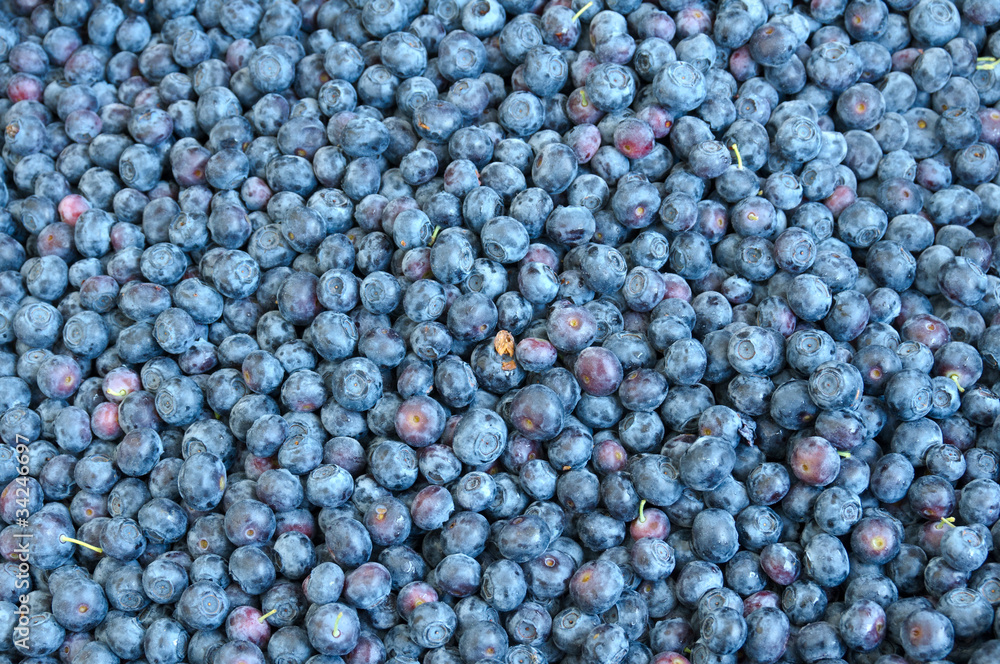 Blueberries at the farmer's market Blueberries at the farmer's market