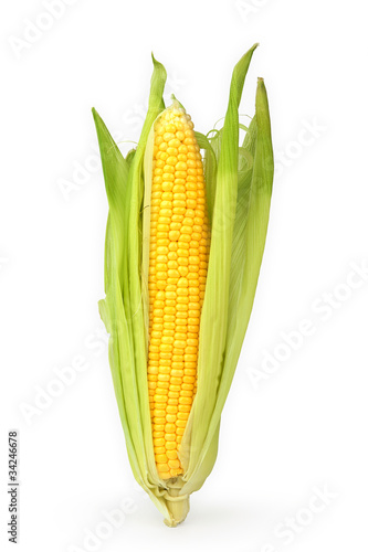 Corn