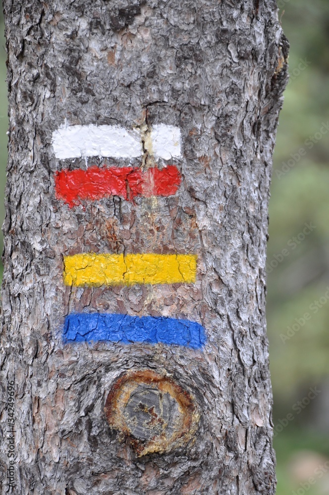 Fototapeta premium balisage de randonnée