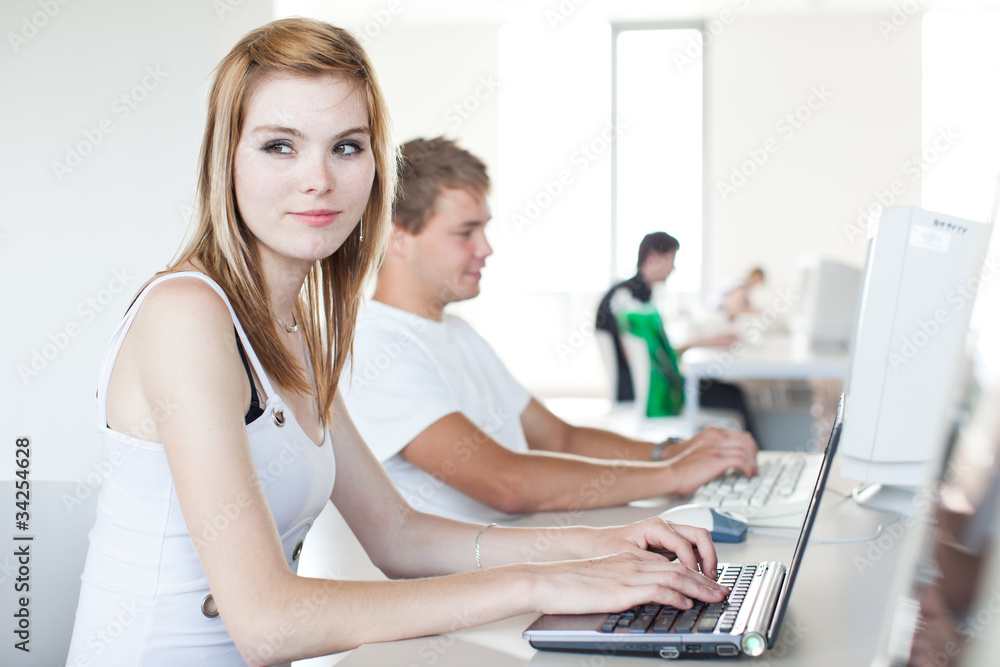 two college students using a computer two college students using a computer