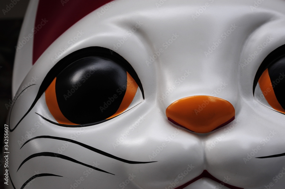welcome cat-50 welcome cat-50
