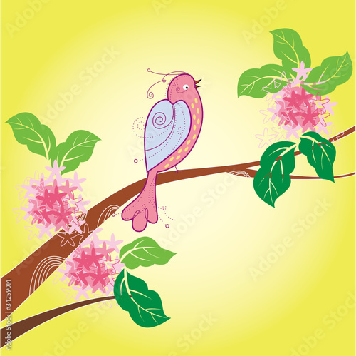 花和鸟