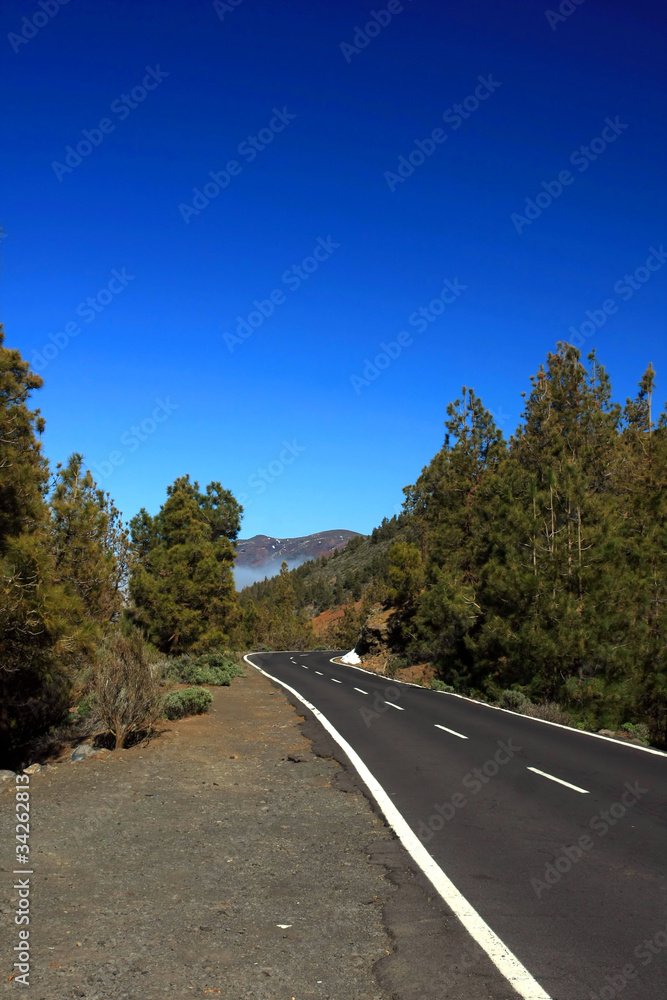 Naklejka premium the empty road on Tenerife, Canary island, Spain