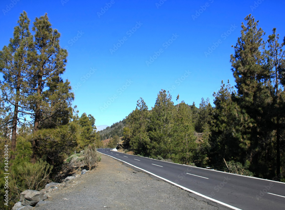 Naklejka premium the empty road on Tenerife, Canary island, Spain