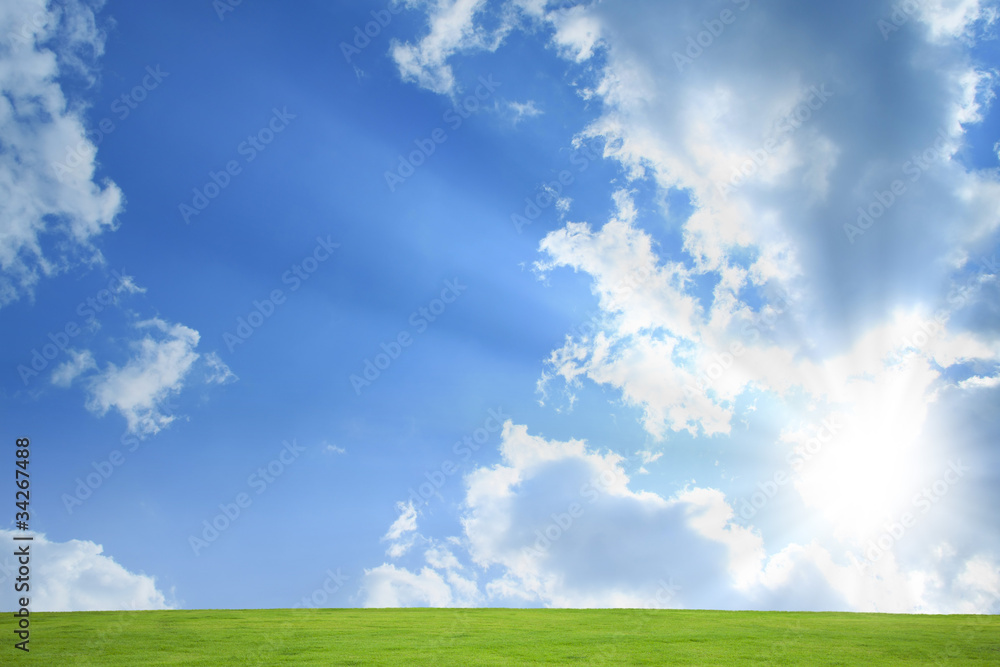 image to crop