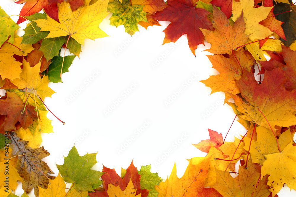 Obraz premium autumn background