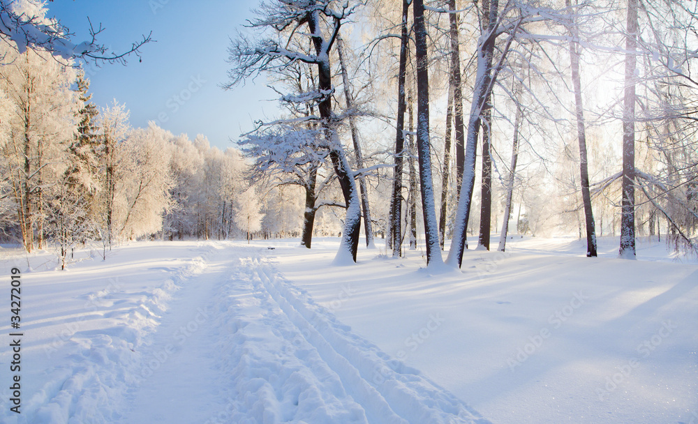 morning in Winter park