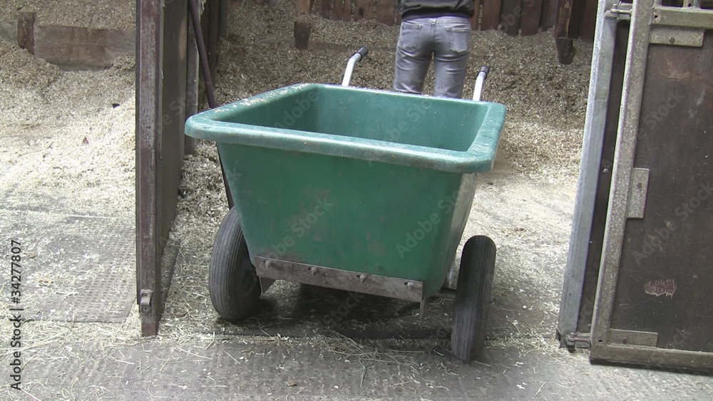 Farm girl cleaning stable