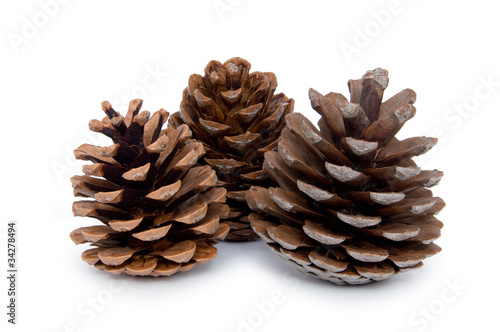 Three Pine cones