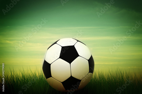 soccer ball in grass © aleksei kashin
