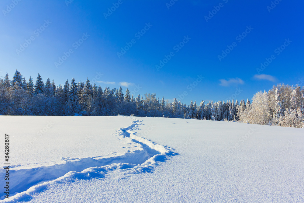 Obraz premium Midwinter Fairytale