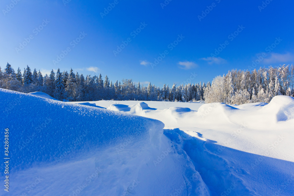 Forever Winter!