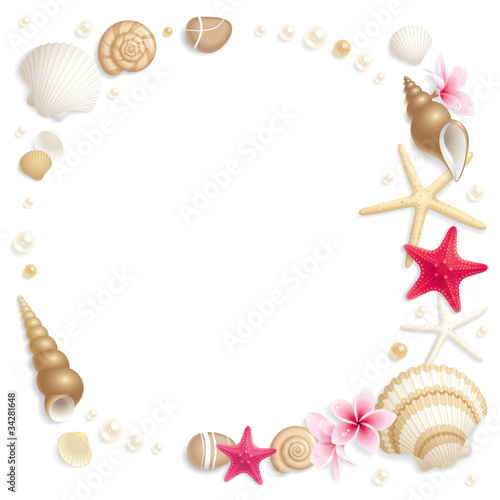 Seashell frame